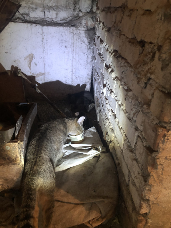 AF74F114-41E0-4701-A50E-39760644060B