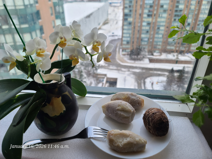 [Image: 20260116-114600.jpg]