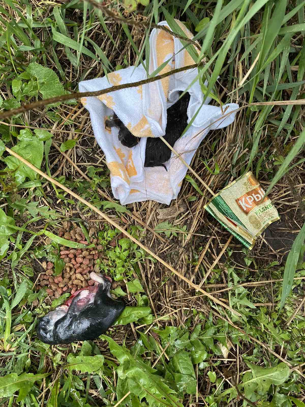 71F8D11E-2242-45BC-8DDA-6848D823E540