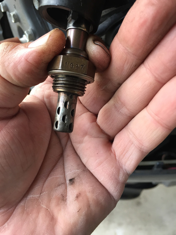 055FE459-5837-4A37-9528-720F45296E61