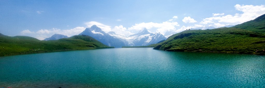 50 sombras del verde en Suiza y Alemania - Blogs de Suiza - SUBIDA AL FIRST- LAGO BACHALPSEE- BAJADA EN TROTIBIKE (4)