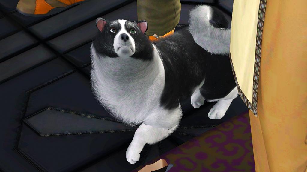 [​IMG]