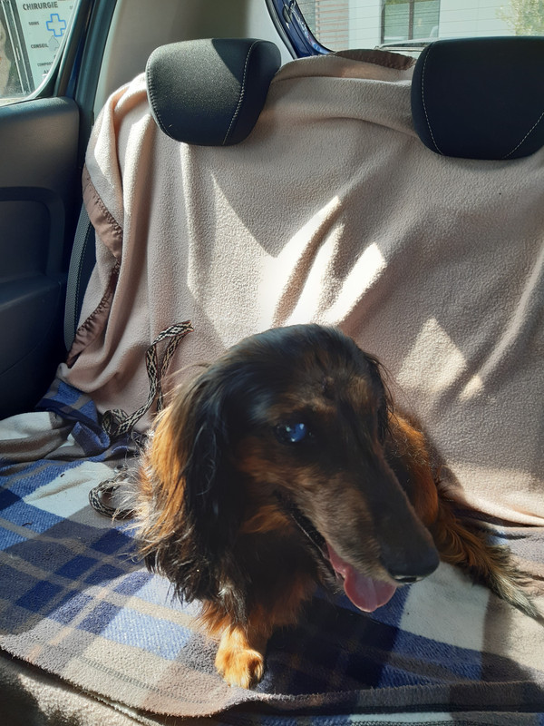 [Image: 20220426-160520.jpg]