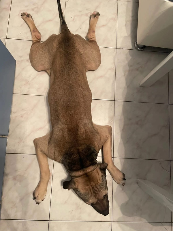 14CFBF49-F652-4069-B3B6-7775010543F9