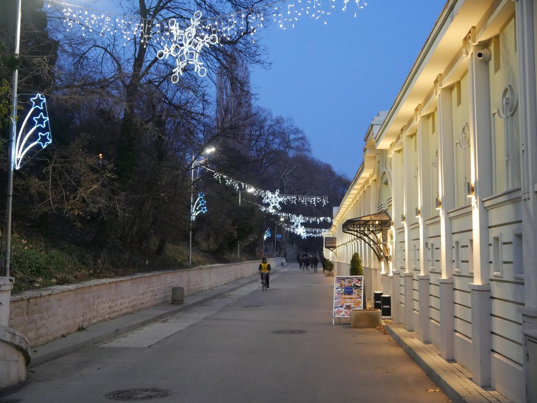 P1090008.jpg