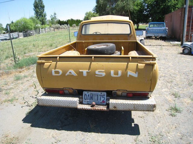 Datsun-Back.jpg