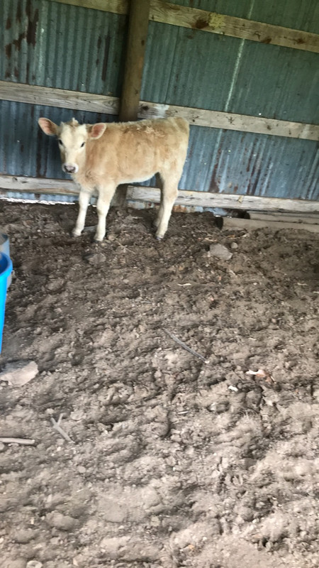 710AFCED-0925-420C-B54D-E101D9490D47