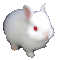 291