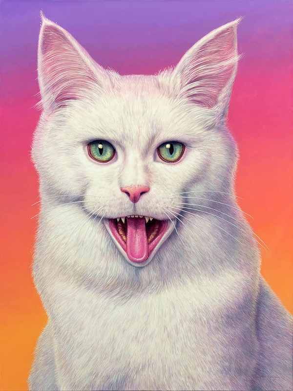 crazy-white-cat-james-w-johnson
