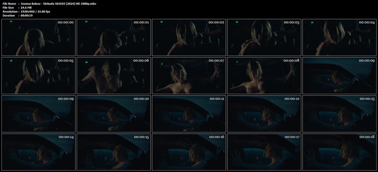 vlcsnap-00021