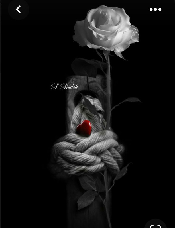 Screenshot_20230702_181748_Pinterest