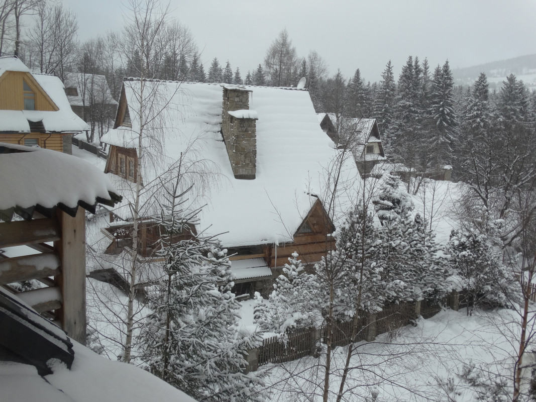 02.01 - DSC06149 (Czesio1)