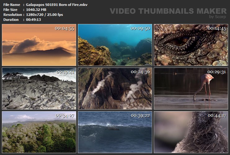Galapagos S01E01 Born of Fire.mkv