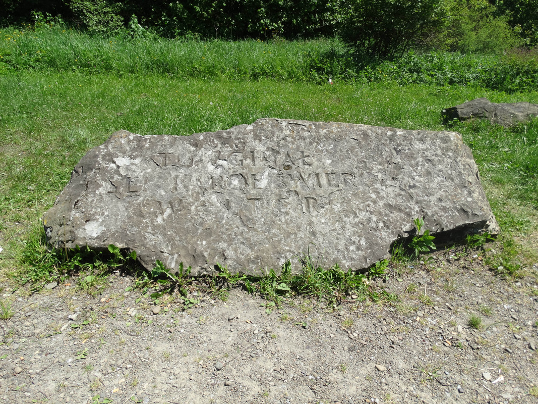 201 - DSC01502 (Milady)