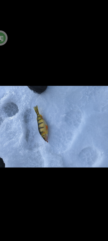 Screenshot_20220226-152655
