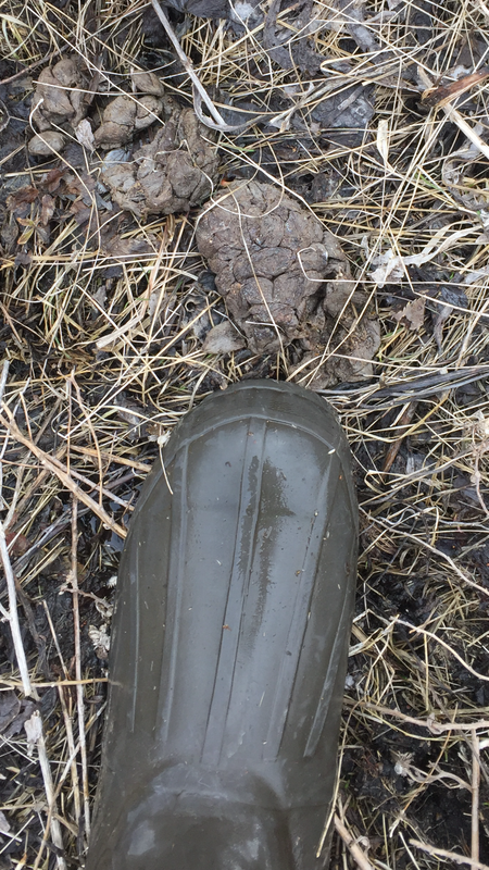 18F9B060-7574-431C-AEF8-37081206D429