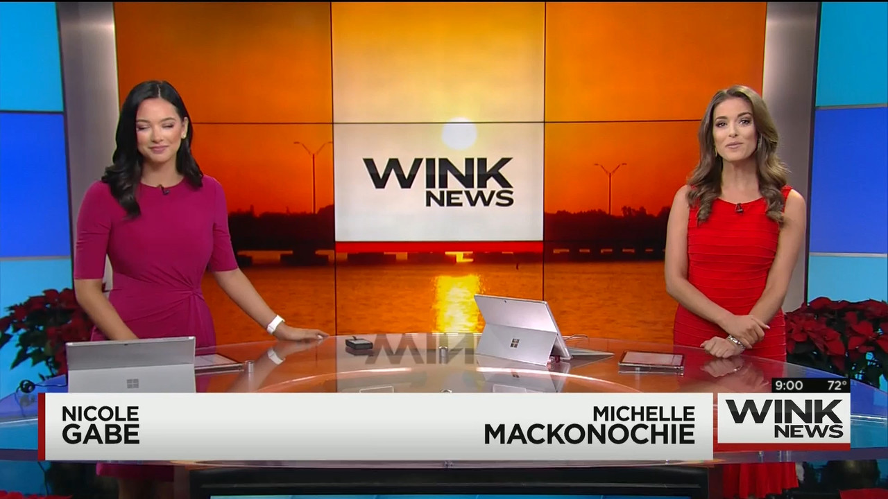 12.05 - 14.00.00 - WINK News @ 9 00AM..ts_snapshot_03.10.588