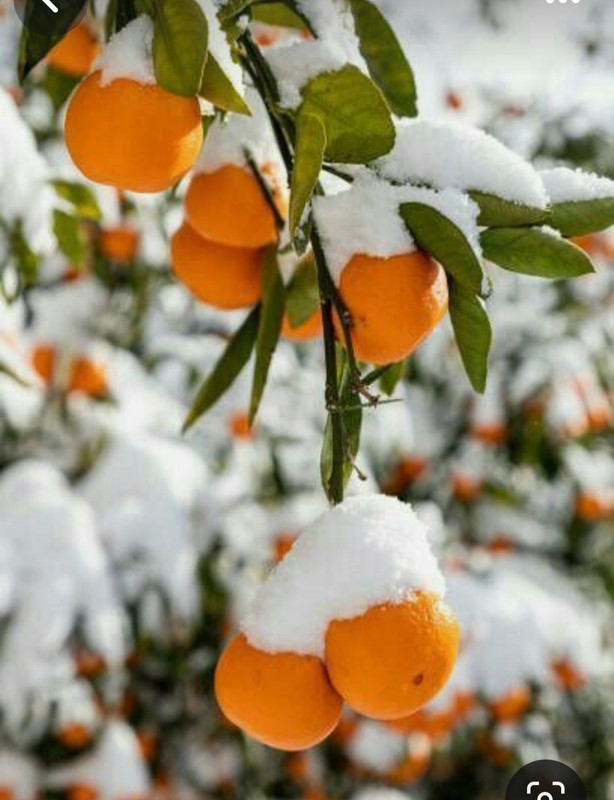 Screenshot_20231222_131645_Pinterest