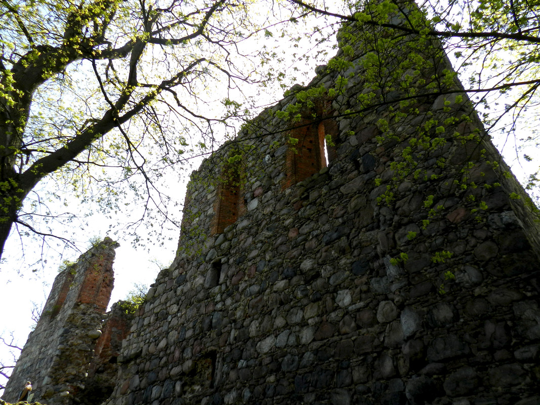 19.26 - DSCN0372 (Milady)