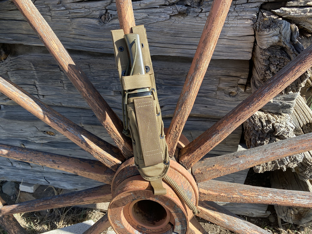 E4029070-E1DB-47CE-B19E-1073CEB2888D