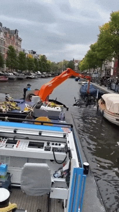 https://i.postimg.cc/k51yhw71/5.gif