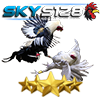 Sv388
