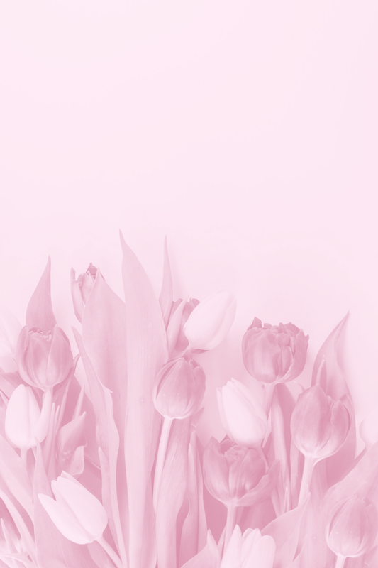 Spring25_3