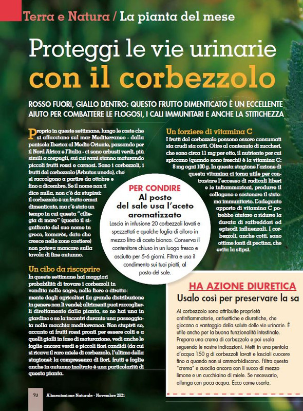 Alim Nat Nov 2021 (11)