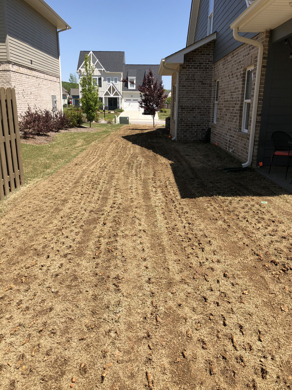 8E24ED1E-DA89-433A-9424-D7D8A9670FA3