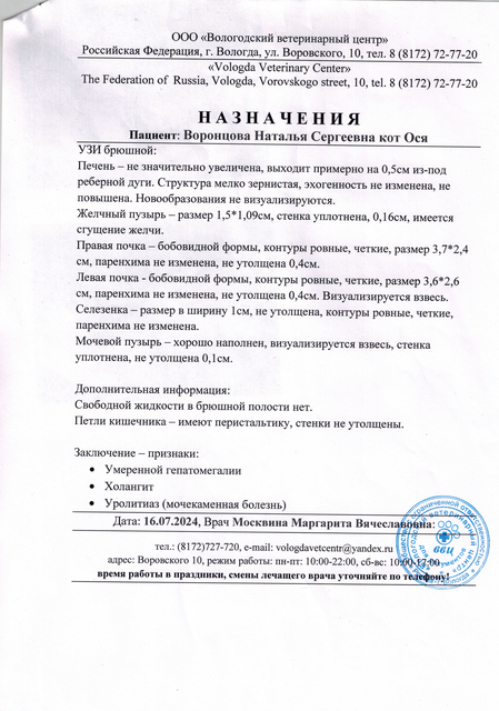 узи брюшной июль 24