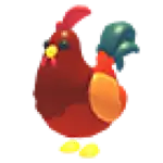 Rooster