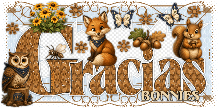 Gracias-Camp-Moonbeam-bonnies