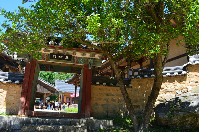 DSC-0371