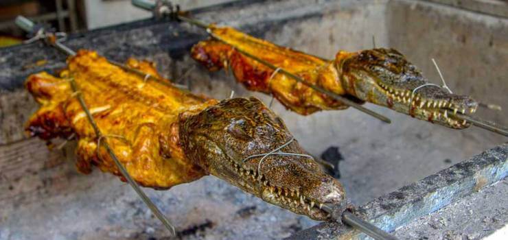Блюда из мяса крокодила Блюда из мяса крокодила