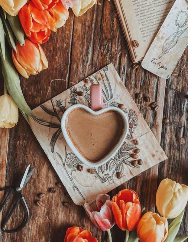 Screenshot_20240502_231246_Pinterest