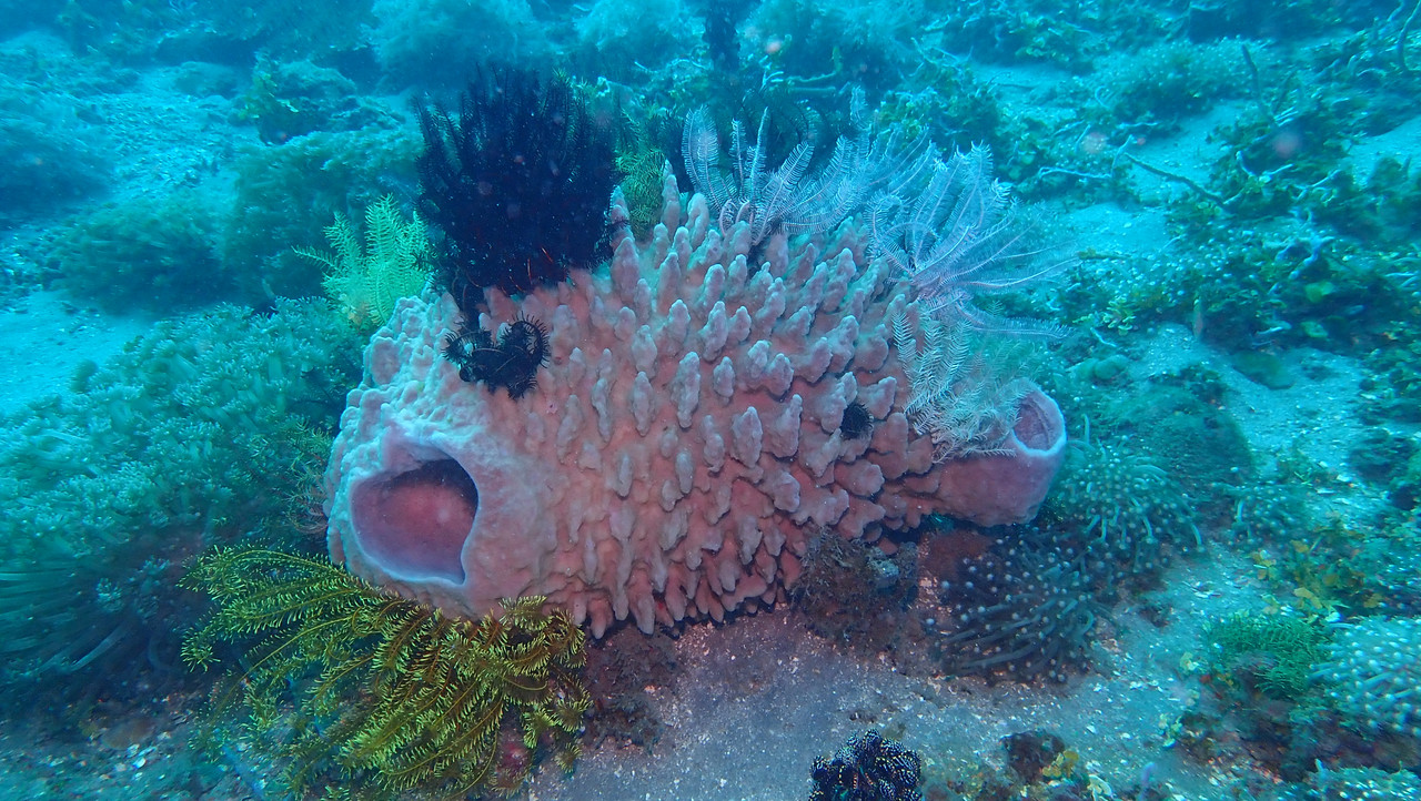 CE0E2FA2-5405-467F-B2F0-7549E1DFE761