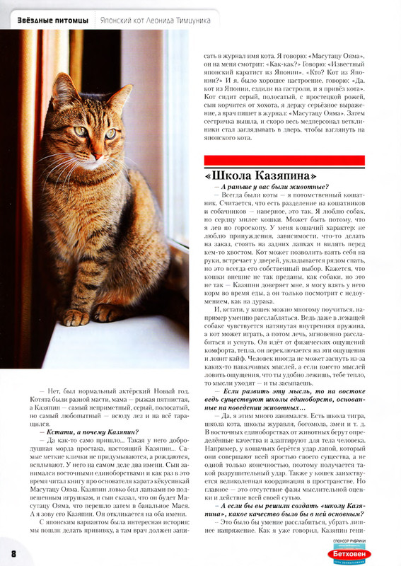 Moj-drug-koshka-2013-3-10