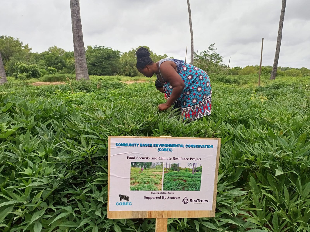 Food-security-farm-2