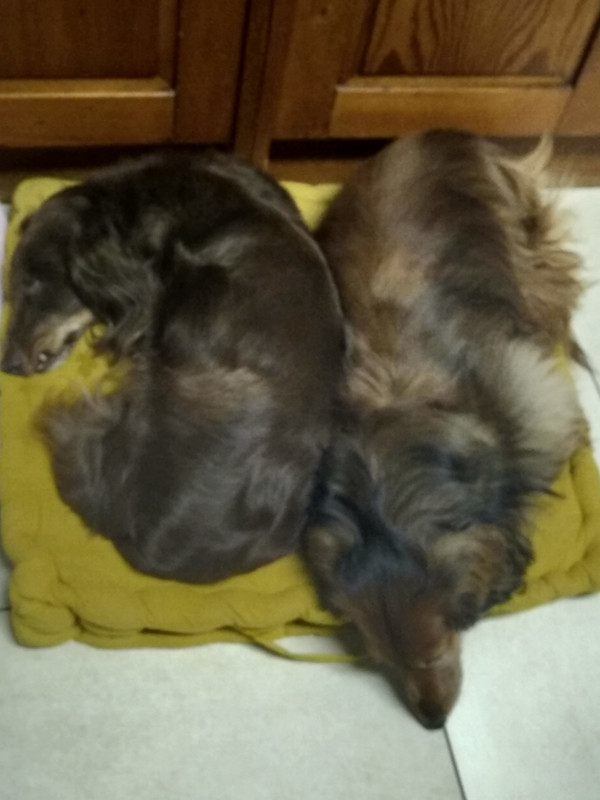 [Image: IMG-20220115-195917.jpg]