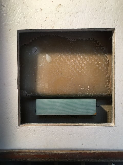 15770282-ECDE-4ED5-81A1-4D38EAD852B6_1_105_c