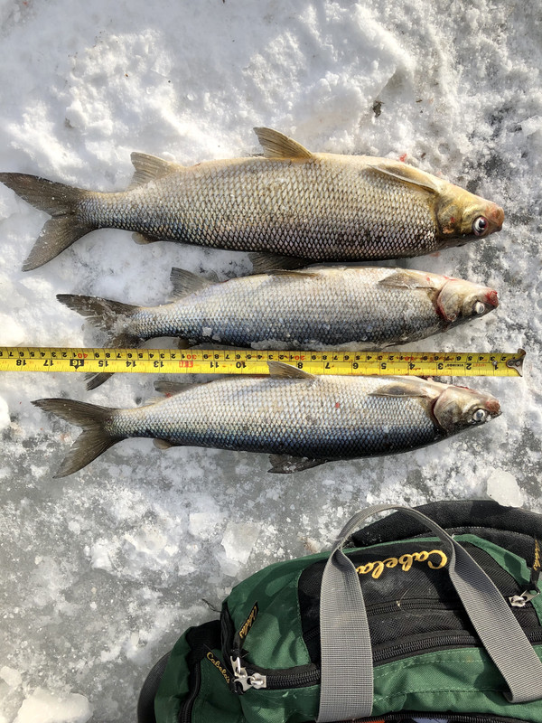 C42D1E4D-9B65-4C47-8DF8-93EBBFFE54CF