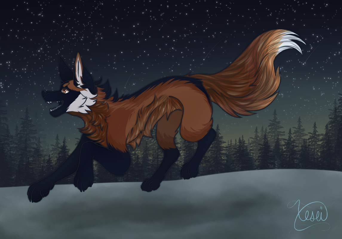 AFA4FC2D-7E90-4F43-8439-EE9C20244F99