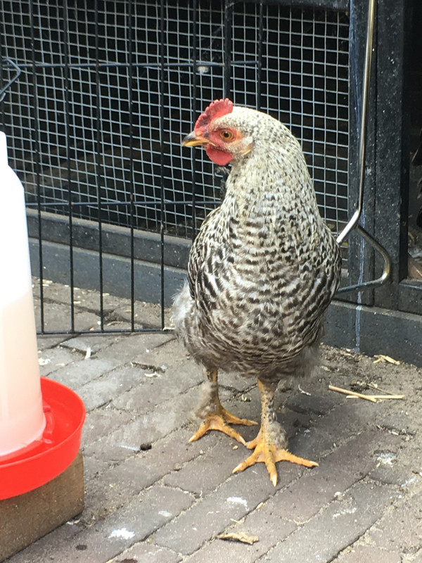 36F2CF0D-4AFA-47E9-B96D-28538D6CCE94