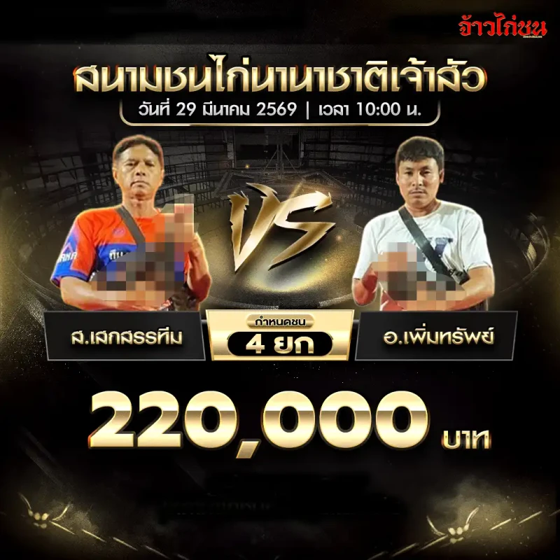 ส.เสกสรรทีม พบ อ.เพิ่มทรัพย์ โปรแกรมไก่ชน สนามชนไก่นานาชาติเจ้าสัว 29 มีนาคม 2569