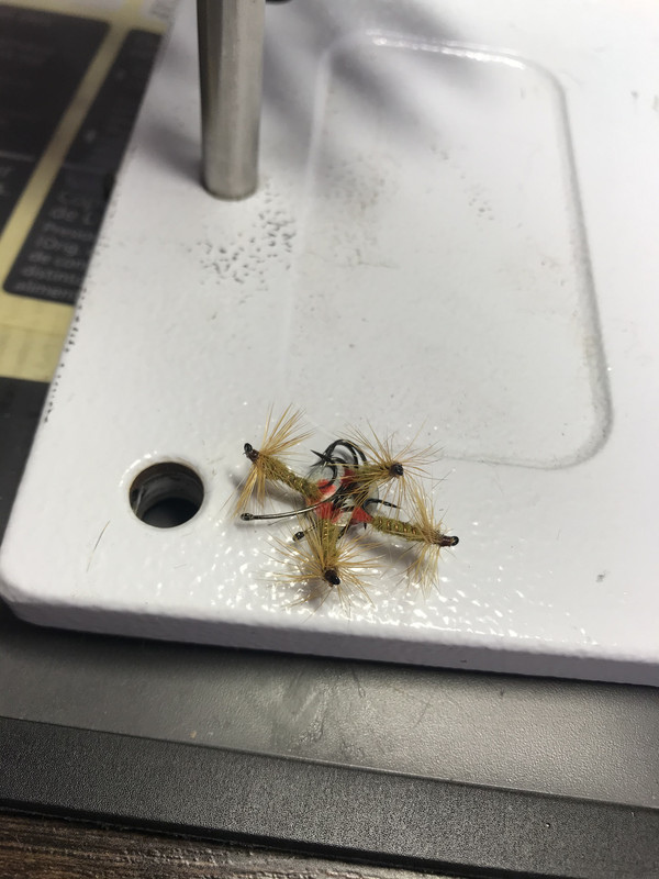 87F8B9E3-E6AB-4835-A5C2-96EA94C360CD