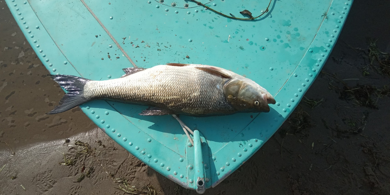 2FF50C32-56C0-485E-9F15-B9DDF7917B85