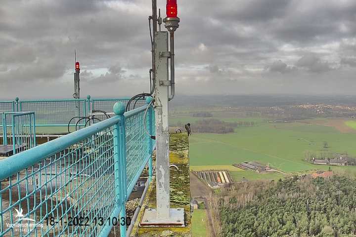 campics vanaf 6 december © VWGGemert en bonusjes van ter plekke - Pagina 29 Cam-1-1