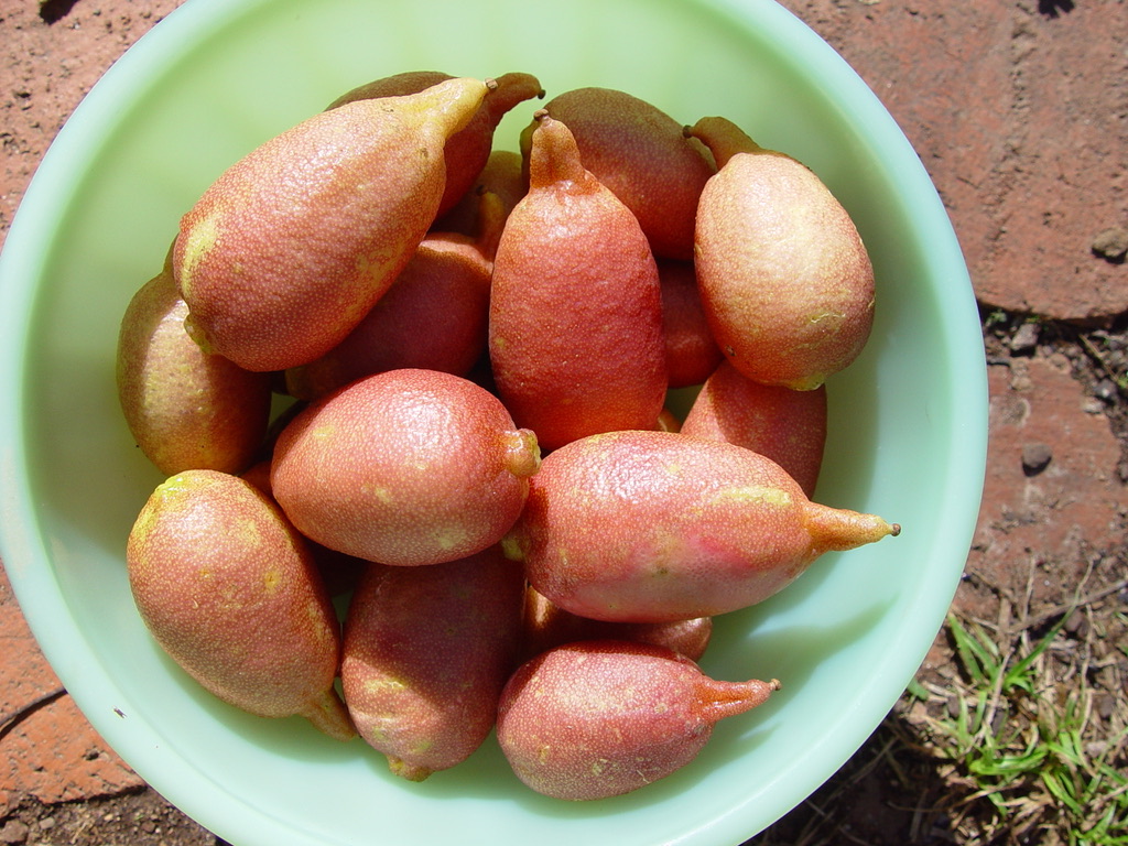 D8AE8A10-38D6-4080-BA71-F9E94E6F4B65_1_105_c