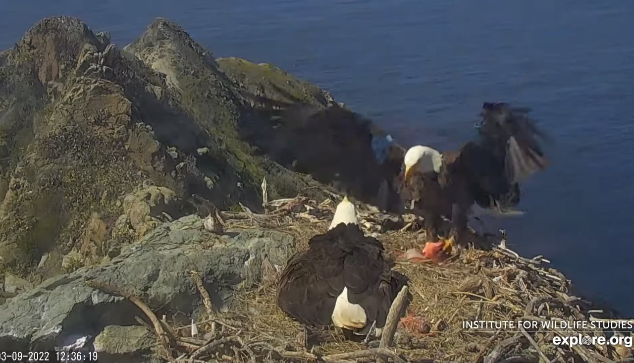 6FA05DCE-8606-45D7-92DE-EF5CE64F0DD9