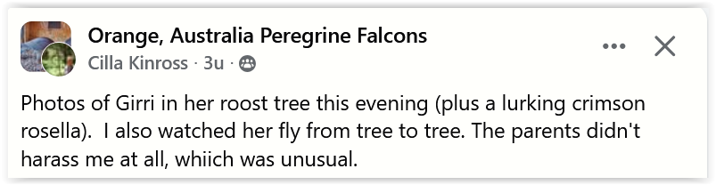Screen Shot 12 24 25 at 03 07 PM 001